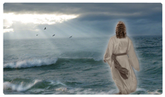 DNSEMP-C-123 Walking On Water